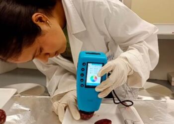 Investigadores de la UAT, analizan potencial antioxidante de la cáscara de pitaya