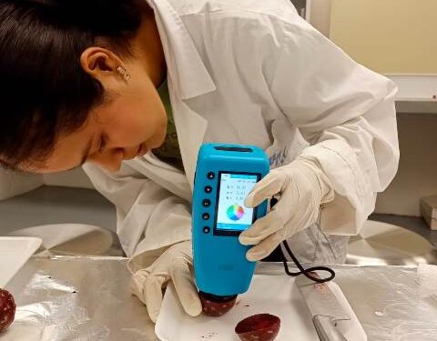 Investigadores de la UAT, analizan potencial antioxidante de la cáscara de pitaya