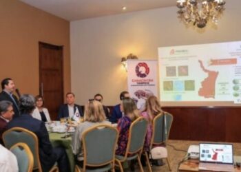 Es Tamaulipas el Estado con mayor capacidad eléctrica