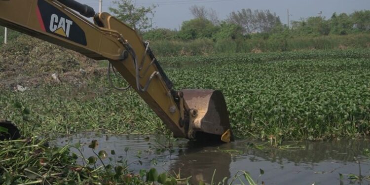 Alcalde de Madero, Erasmo González, ordena programa integral de limpieza y desazolve en lagunas