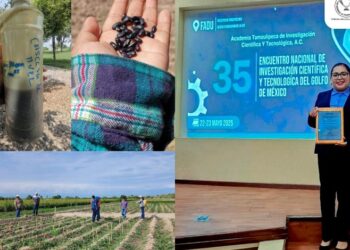 Elabora estudiante de la UAT bioherbicida para cultivos de frijol