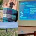 Elabora estudiante de la UAT bioherbicida para cultivos de frijol