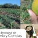 Anuncia la UAT publicación de revista de Ingeniería y Ciencias