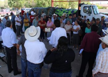 Fortalece sector Rural, entrega de semillas de sorgo y maíz