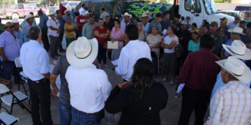 Fortalece sector Rural, entrega de semillas de sorgo y maíz