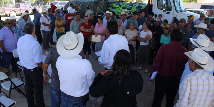 Fortalece sector Rural, entrega de semillas de sorgo y maíz