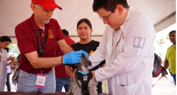 PROTEGE GOBIERNO DE NUEVO LAREDO LA SALUD DE LAS MASCOTAS CON JORNADA DE VACUNACIÓN EN VILLAS DE SAN MIGUEL